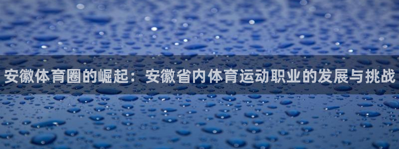 3377体育官网下载是干嘛的公司:安徽体育圈的崛起:安徽省内