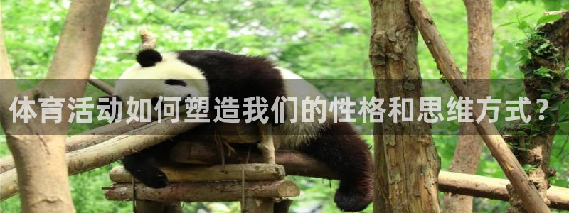 3377体育官方正版app代理:体育活动如何塑造我们的性格和